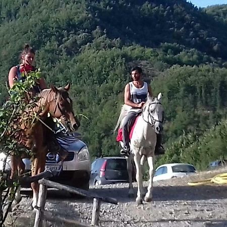 Le Chianine Dei Tognoli Villa Gragnola Eksteriør bilde