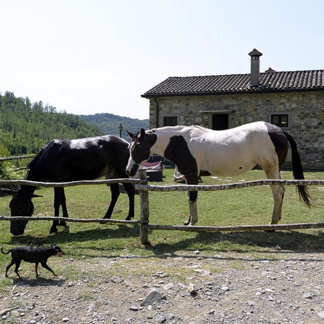 Le Chianine Dei Tognoli Villa Gragnola Eksteriør bilde