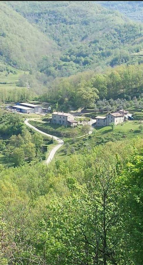 Le Chianine Dei Tognoli Villa Gragnola Eksteriør bilde